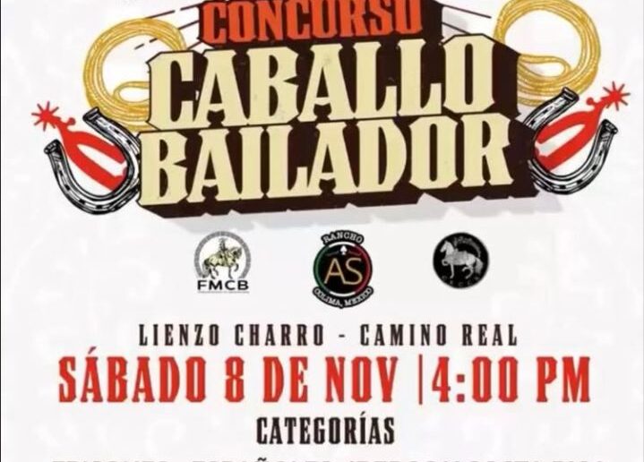 caballo bailador